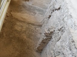 Ciudad de Elche 2022